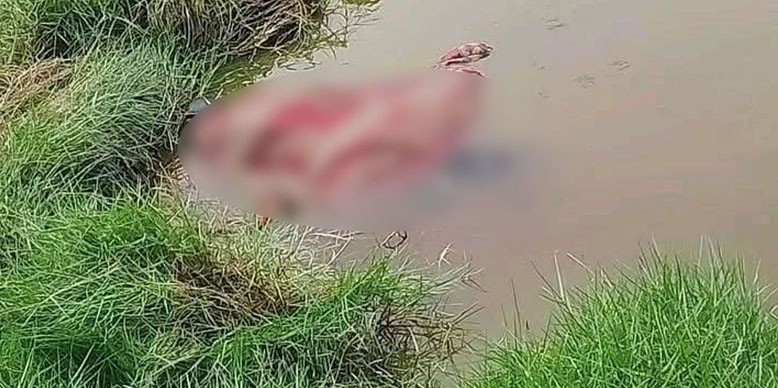 খুলনায় পুলিশ কর্মকর্তার মাকে গলাকেটে হত্যা 